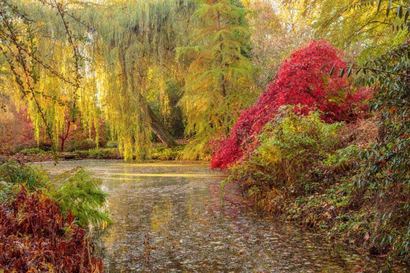 Thenford Gardens and Arboretum, United Kingdom